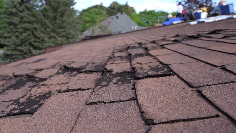 Best Steel Roofing  in West Rancho Dominguez, CA