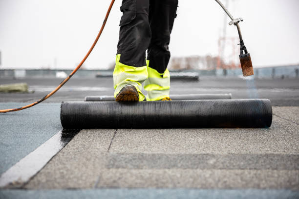 Best Roof Ventilation Installation  in West Rancho Dominguez, CA