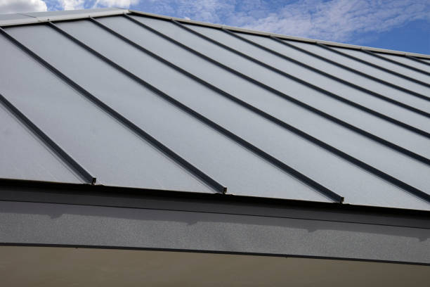 Best Sheet Metal Roofing  in West Rancho Dominguez, CA